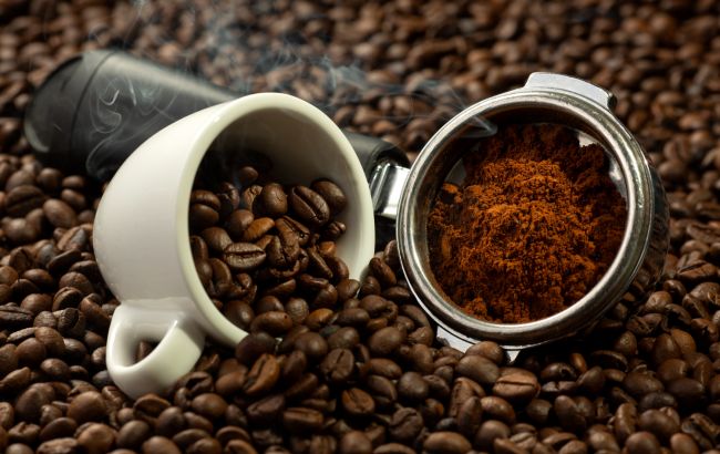 Арабіка чи робуста: у чому відмінність і яку каву краще вибрати