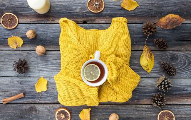 На что стоит обращать внимание при выборе трикотажных вещей