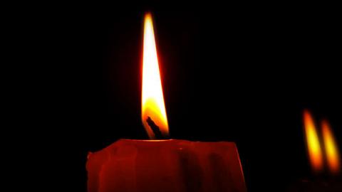 Помер відомий український вчений та археолог