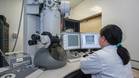 Вчений Антон Сененко: "Через два-три роки ми можемо зіткнутися з повною втратою науки, цінних кадрів і експертів"