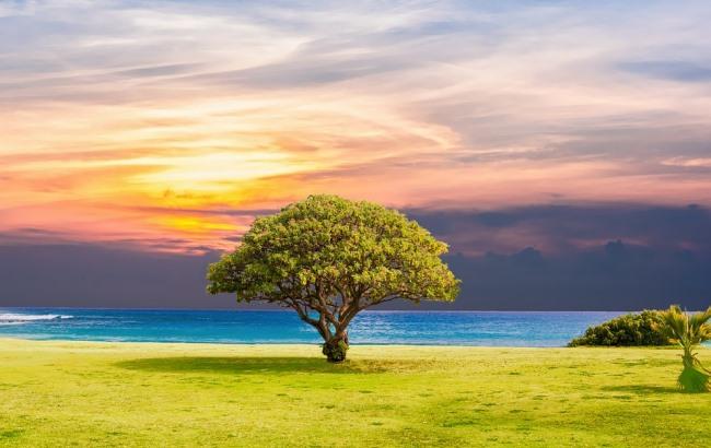 Синоптик дала прогноз погоды на выходные