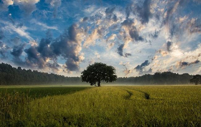17 липня: свята і важливі події на цей день
