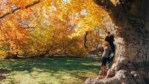 Стало відомо, яка погода чекає українців на Хелловін