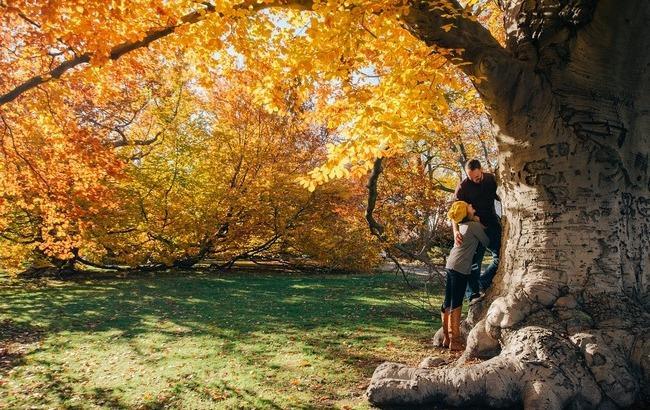 Стало известно, какая погода ждет украинцев на Хэллоуин