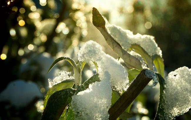 13 марта: все праздники на сегодня