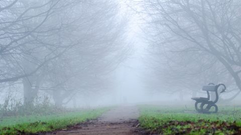 От +20 до 0. Синоптики показали карту погоды в Украине