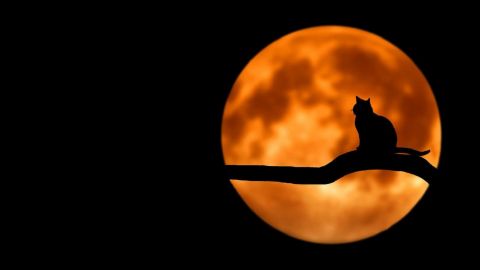 Полнолуние с аспектом на Черную Луну несет опасность: что нельзя делать в это время