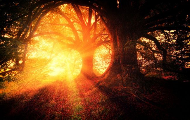 Солнце в знаке Стрельца: кому это время принесет большую удачу