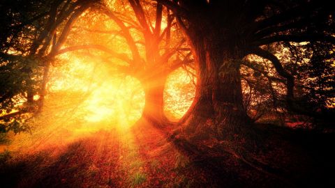 Наступает ретроградный Сатурн: что строго запрещено делать, и кому сильно повезет