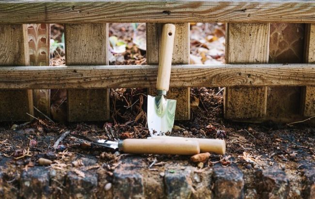 Что нужно сделать на огороде в декабре: благоприятные дни для каждого дела