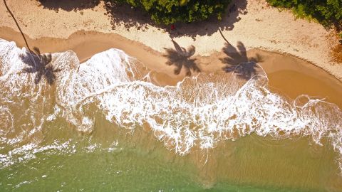 Доминикана или Занзибар: в какие экзотические страны стоит ехать в отпуск осенью