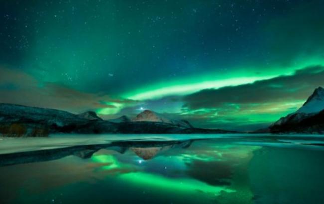 Киты резвились под Полярным сиянием, не замечая норвежского видеооператора