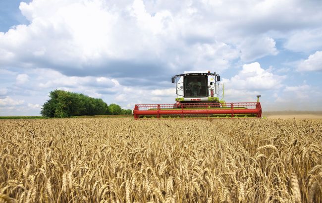 Экспорт украинской агропродукции в ЕС может увеличиться на 50% к 2019