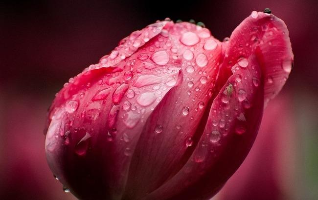 Гроза и солнце: синоптики дали прогноз погоды на субботу