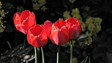 Синоптик розповіла українцям про погоду на тиждень