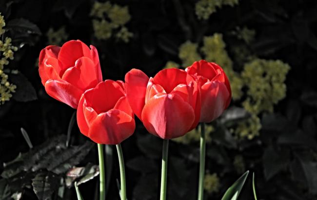 Синоптик розповіла українцям про погоду на тиждень