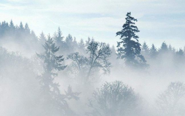 ДСНС попереджає про туман і поривів вітру в Україні