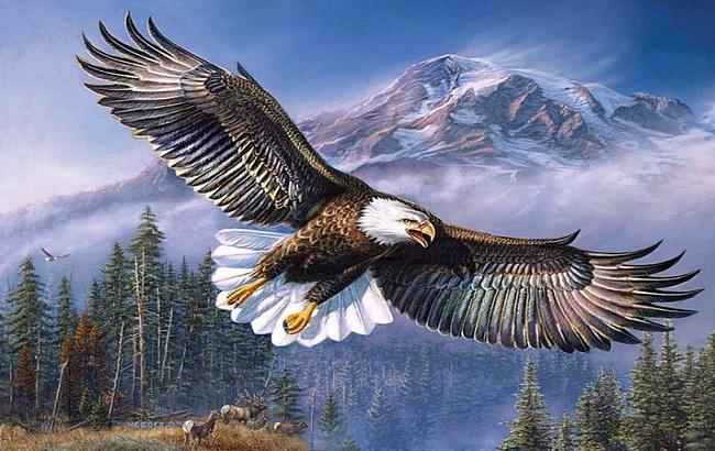 Гороскоп на сегодня, 29 января