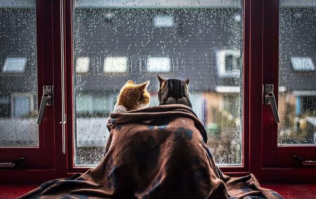 Погода на сегодня: на большей территории Украины ожидаются дожди, температура до +28