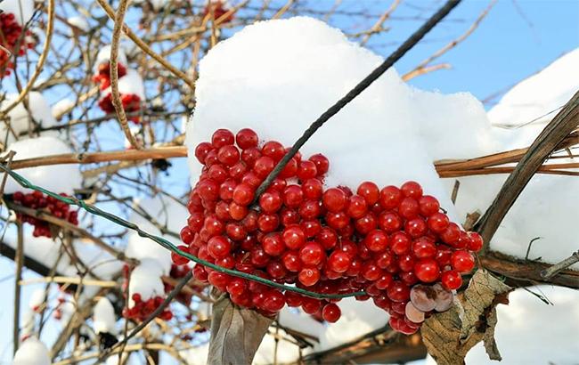 Погода на сегодня: в Украине небольшой снег, на дорогах гололедица
