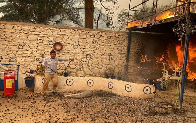 У Туреччині не залишилося лісових пожеж, що становлять загрозу містам, - влада