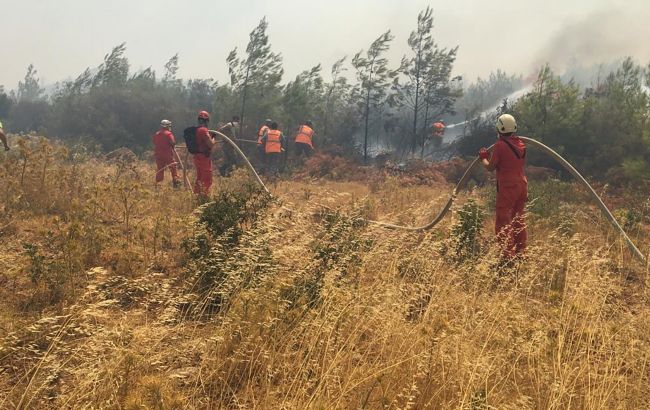 У Туреччині заарештували шість підозрюваних у підпалі лісів