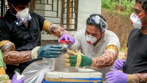 В Індії від вірусу Ніпах померли щонайменше 10 осіб