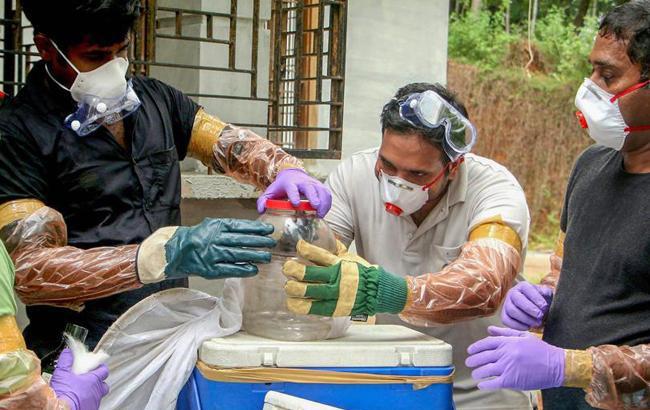 В Індії від вірусу Ніпах померли щонайменше 10 осіб