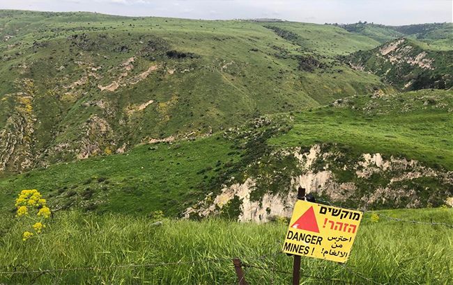 В Сирии заявили, что решение по Голанам делает США "главным врагом всех арабов"