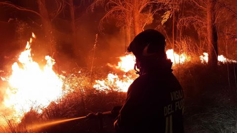 В Италии вспыхнули масштабные лесные пожары