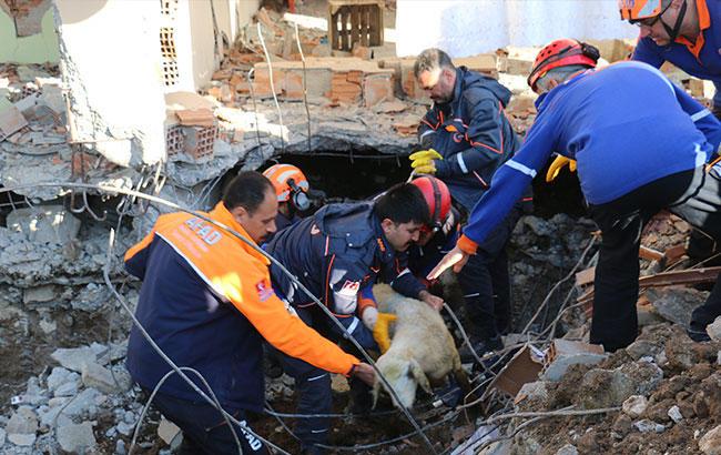 В Турции в результате землетрясения пострадали 19 человек