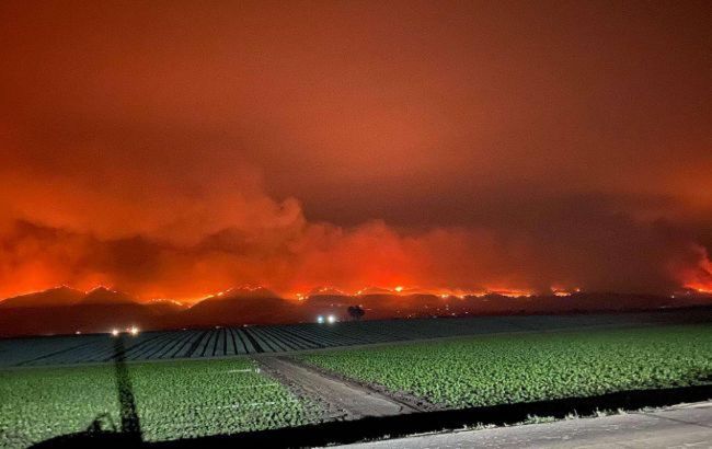 Лесные пожары в Калифорнии: огонь приближается к пригороду Лос-Анджелеса