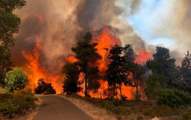 Лесной пожар в Калифорнии охватил площадь более 110 тысяч гектаров
