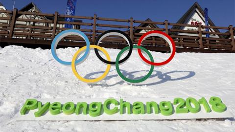 Зимові Олімпійські ігри: результати збірної України в 1994-2014 роках (інфографіка)