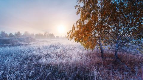 Во Львовской область от переохлаждения погибли 3 человека