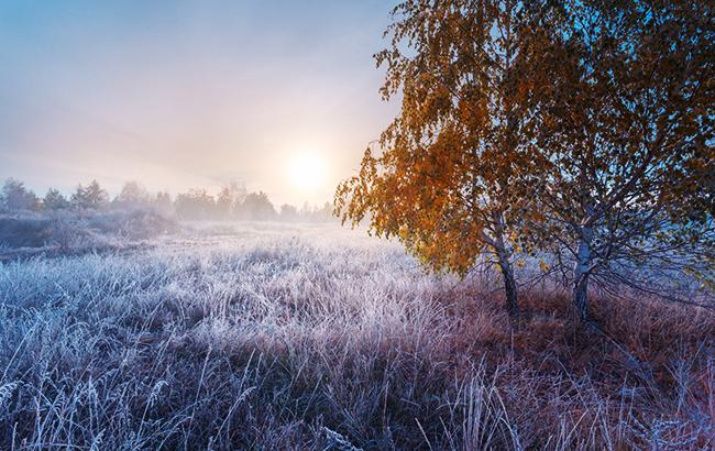 Погода на сегодня: в Украине переменная облачность, температура до +15