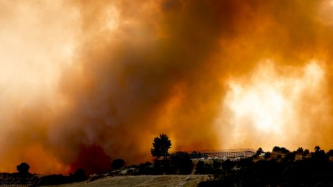 Туреччина взяла під контроль майже всі лісові пожежі. Постраждали 864 людини