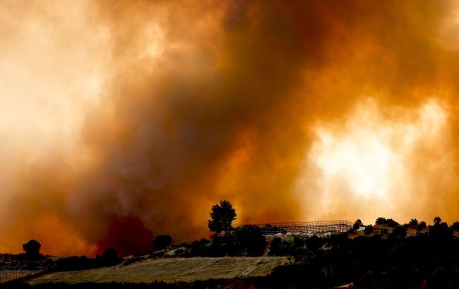 Ситуація стабілізується: у Туреччині локалізували 129 лісових пожеж