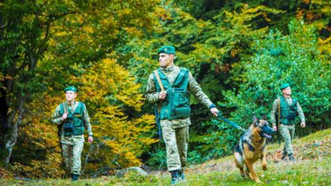 У Закарпатській області прикордонники затримали 12 мігрантів