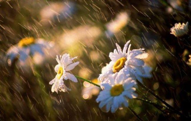 В Киеве и области 26 июня ожидаются грозовые дожди