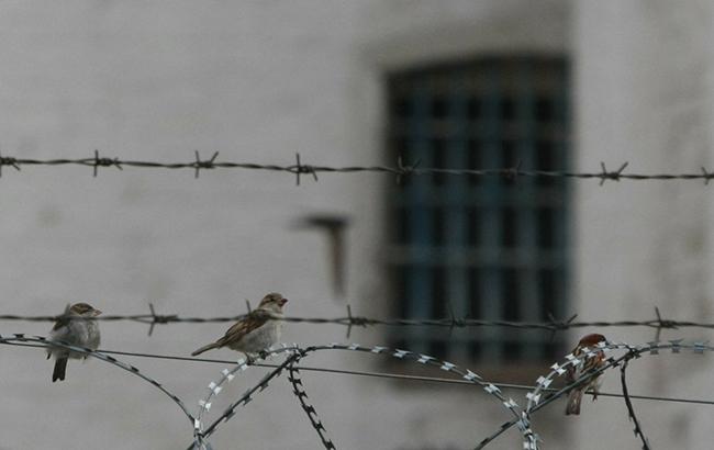 Украинская журналистка добровольно "села" в тюрьму в Латвии