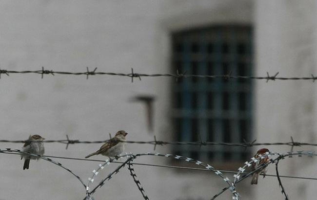В Таджикистане при подавлении тюремного бунта погибли 13 заключенных