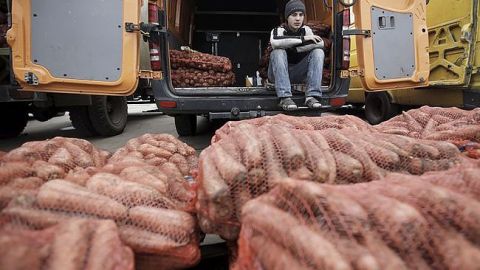 Названі продукти, які найбільше подешевшали на початку осені