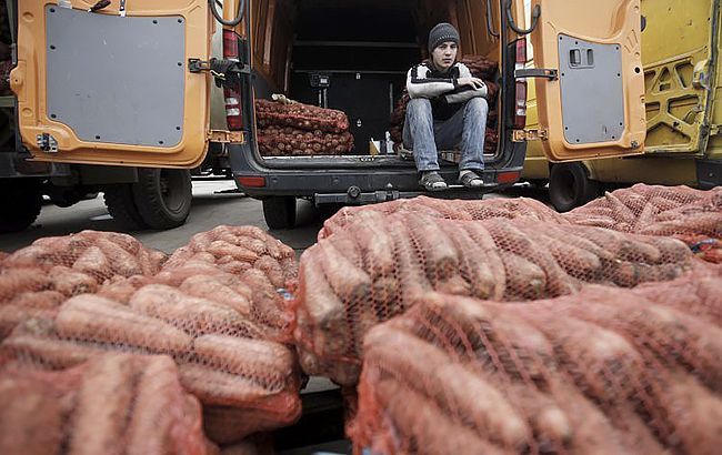 Названы продукты, больше всего подешевевшие в начале осени