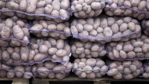 Украина увеличила экспорт картофеля в два раза