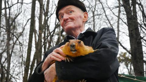 Харьковский сурок Тимка предсказал, какой будет весна в этом году (видео)