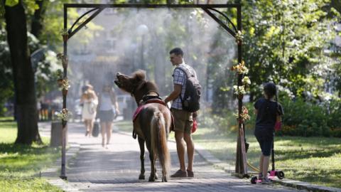 Сонячно і ясно: синоптики дали прогноз погоди на 31 серпня