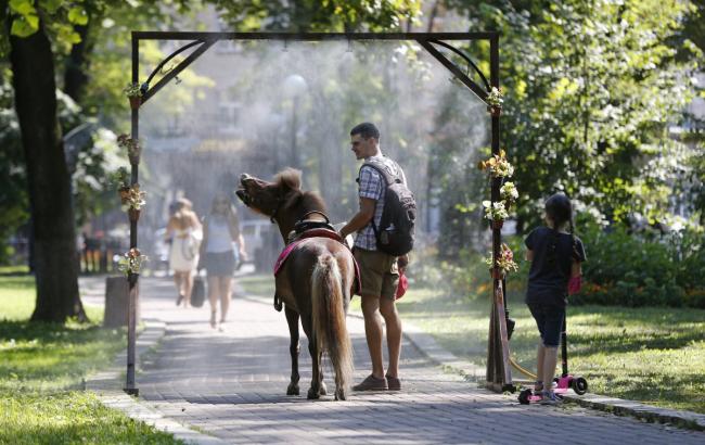 Жарко будет везде: синоптики уточнили прогноз погоды на 6 августа