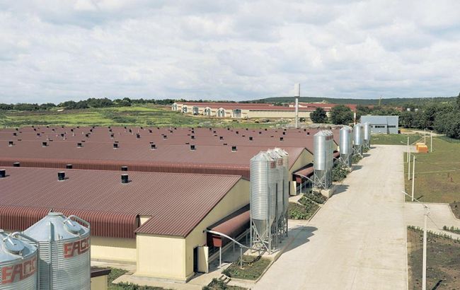 В ФРУ призвали силовиков прекратить давление на "Укрлендфарминг" Бахматюка