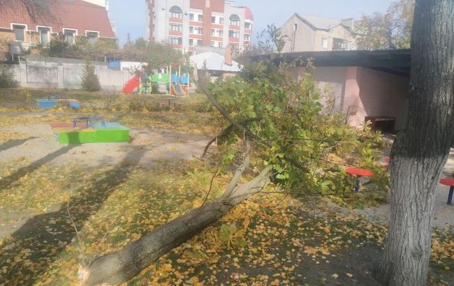 В Кременчуге в детсаду на двоих детей упало дерево